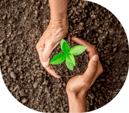 Champion Environmental Stewardship
